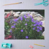 Canterbury Bells Tissuepapier (Craft)