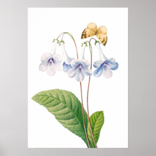 "Canterbury door Pierre-Joseph Redouté Poster