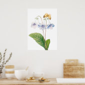 "Canterbury door Pierre-Joseph Redouté Poster (Keuken)