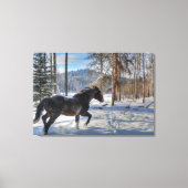 Cantering Black Percheron Horse & Snow Photo 2 Canvas Afdruk (Voorkant)