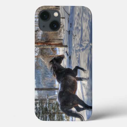 Cantering Black Percheron Horse & Snow Photo 2 Case-Mate iPhone Case (Achterkant)