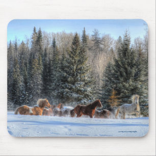 Cantering, Running Horses in Winter Snow Photo Muismat
