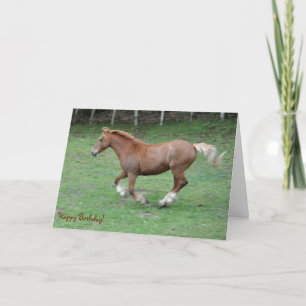 Cantering Welsh cob verjaardag Kaart