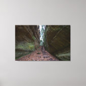 Cantwell Cliffs, Hocking Hills State Park, Ohio Canvas Afdruk (Voorkant)
