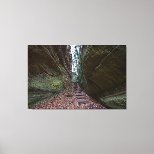 Cantwell Cliffs, Hocking Hills State Park, Ohio Canvas Afdruk (Voorkant)