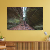 Cantwell Cliffs, Hocking Hills State Park, Ohio Canvas Afdruk (Insitu (Woonkamer))