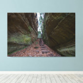Cantwell Cliffs, Hocking Hills State Park, Ohio Canvas Afdruk (Insitu (Houten vloer))