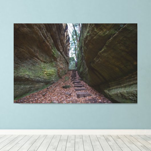 Cantwell Cliffs, Hocking Hills State Park, Ohio Canvas Afdruk (Insitu (Houten vloer))