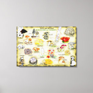 Canvas 30x20 Paddenstoelen van Vermont Afdruk