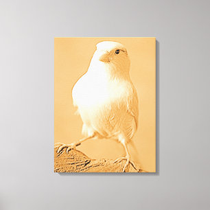 Canvas Afdruk