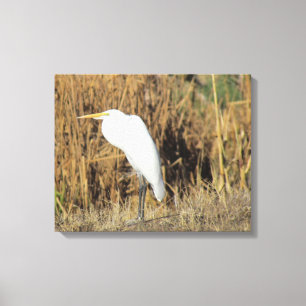 Canvas afdrukken - grot in gras