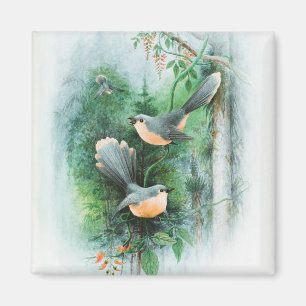 Canvas afdrukken magneet