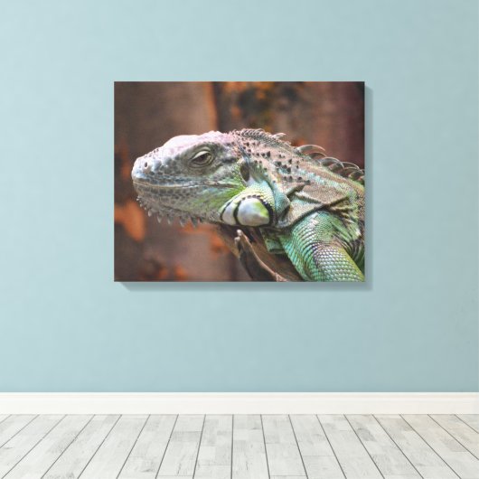 Canvas Afdrukken met kleurrijke Iguana hazard (Insitu (Houten vloer))