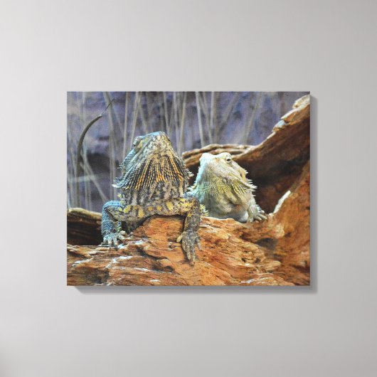Canvas afdrukken met nieuwsgierige lizards (Voorkant)
