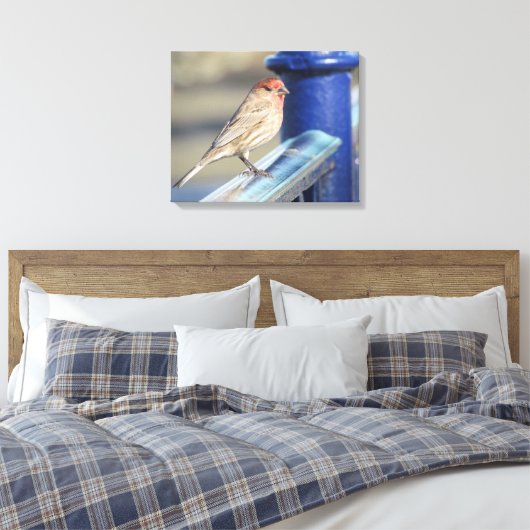 Canvas Afdrukken - Rood Sparrow op Blue Fence (Insitu (Slaapkamer))