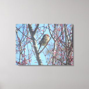 Canvas afdrukken - Voorjaarscontemplatie