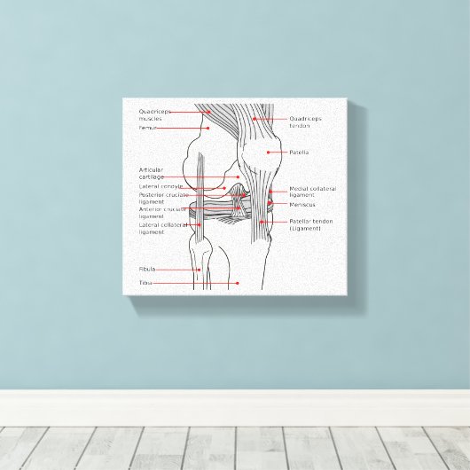 Canvas Anatomisch diagram rechtskniegewricht (Insitu (Houten vloer))