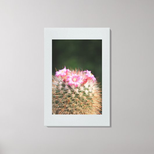 Canvas Art-Cactus Afdruk (Voorkant)