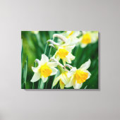 Canvas Art-Daffodils Afdruk (Voorkant)