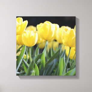Canvas Art-gele tulpen Afdruk