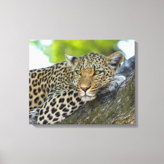 Canvas Art-Leopard Afdruk (Voorkant)