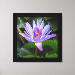 Canvas Art-Lotus Bloem Afdruk
