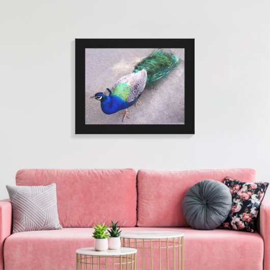 Canvas Art Peacock (Insitu (Woonkamer))