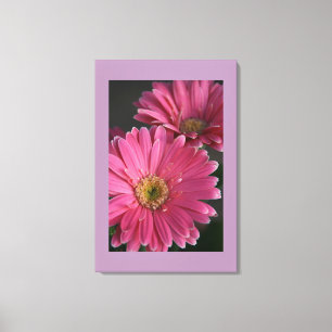 Canvas Art-roze madeliefjes