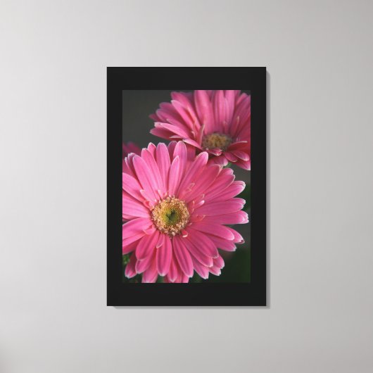 Canvas Art-roze madeliefjes Afdruk (Voorkant)