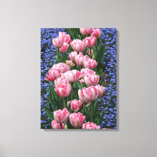 Canvas Art-roze tulpen Afdruk (Voorkant)
