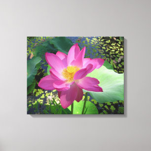 Canvas Art-roze waterlelie Afdruk