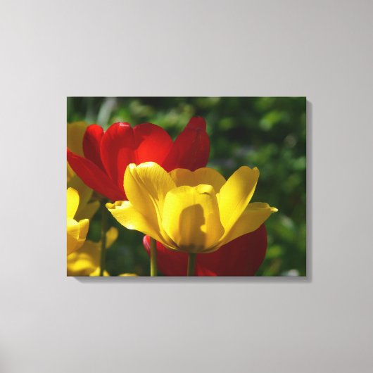 Canvas Art-tulpen (Voorkant)