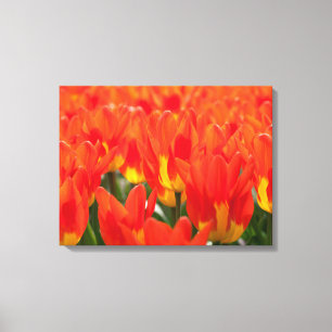 Canvas Art-tulpen Afdruk