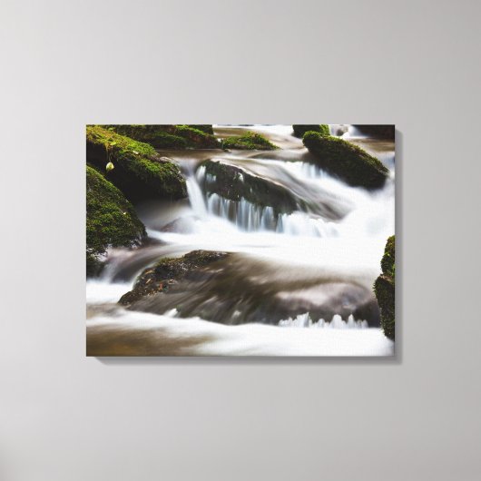 Canvas Art-Waterfall Afdruk (Voorkant)
