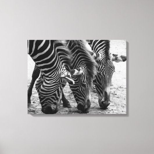 Canvas Art-Zebra's Afdruk (Voorkant)
