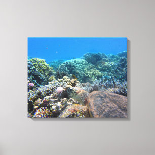 Canvas Art-Zee Turtle Afdruk
