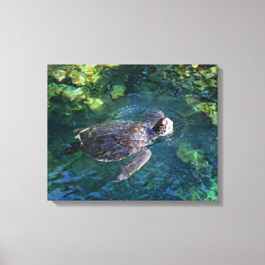 Canvas Art-Zee Turtle Afdruk (Voorkant)