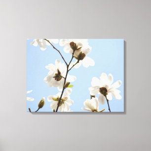 Canvas bloemen magnolia boom bloesem kunstuitgaven afdruk