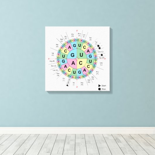 Canvas Codons Aminozuren Tabel Genetische Code DNA Afdruk (Insitu (Houten vloer))