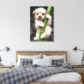 Canvas Cute Puppy Gaejook 개죽이  Afdruk (Insitu (Slaapkamer))