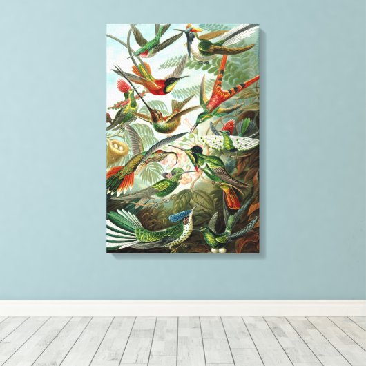 Canvas Ernst Haeckel Trochilidae Kolibrie (Insitu (Houten vloer))
