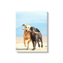Canvas Galerij Print - Teamwork