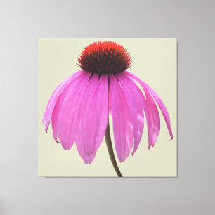 Canvas - gevlekt - Paarse Coneflower - Echinacea Afdruk