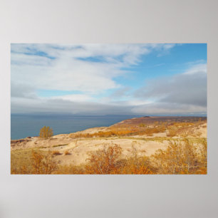CANVAS GLANS / SLAPEND BEER DUINEN / MEER, DUINEN, POSTER