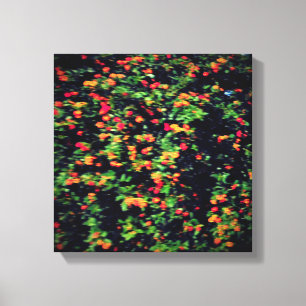 CANVAS KUNST EN DESIGN STIJL