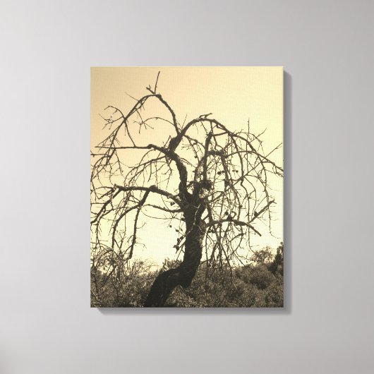 CANVAS KUNST EN DESIGN STIJL (Voorkant)