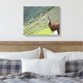 canvas llama (Insitu (Slaapkamer))
