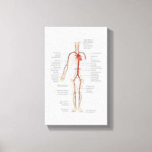 Canvas Menselijk bloedsomloop van slagaders Afdruk (Voorkant)