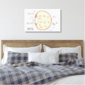 Canvas Menselijk oog bal Anatomisch diagram (Insitu (Slaapkamer))