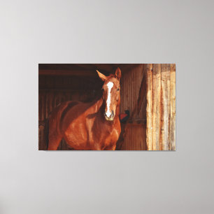 canvas met karbonadestrengen afdruk